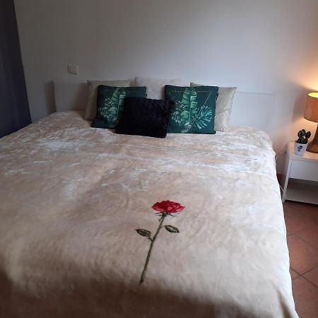 Logement Calme Et Agreable A Proximite D'Ajaccio Canale Cabanes Екстериор снимка