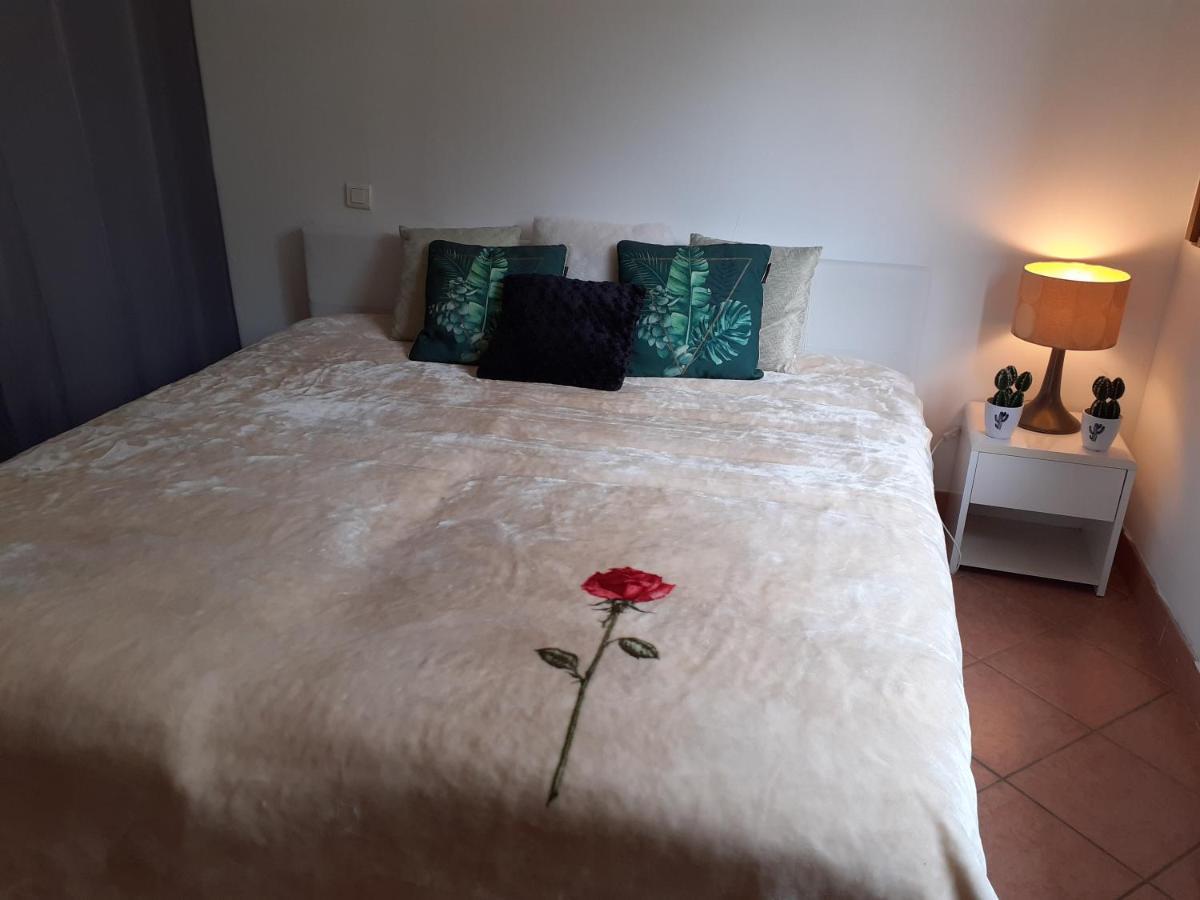 Logement Calme Et Agreable A Proximite D'Ajaccio Canale Cabanes Екстериор снимка